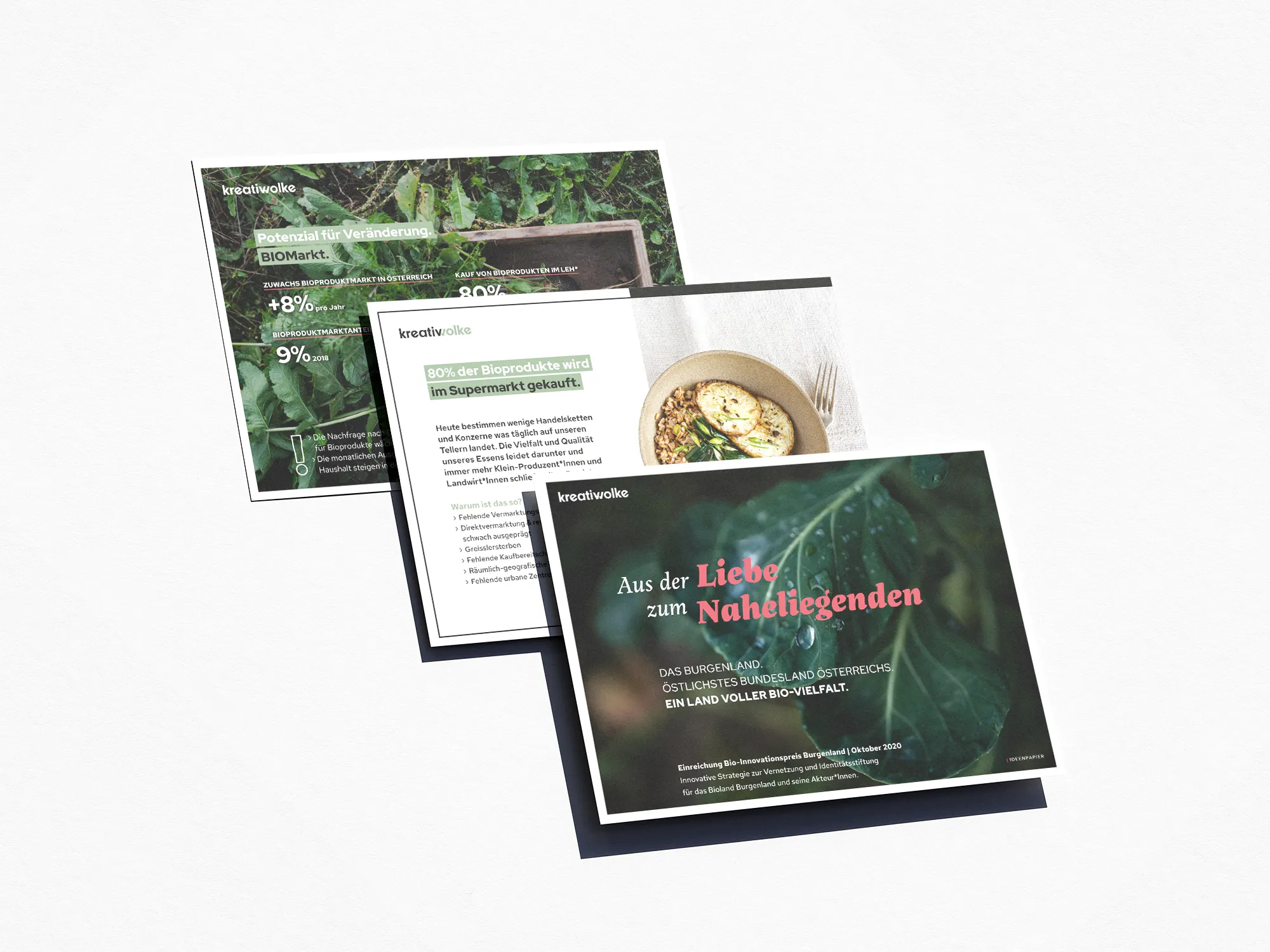 Ideenpapier für den Bio-Innovationspreis Burgenland für die Werbeagentur Kreativwolke